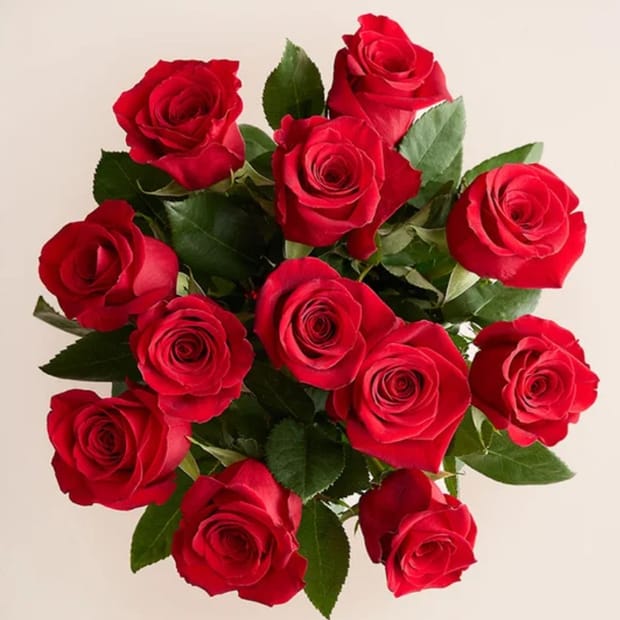 620 Roses Roses Roses Valentine's Day Roses from $45 Shipped at Brad's Deals