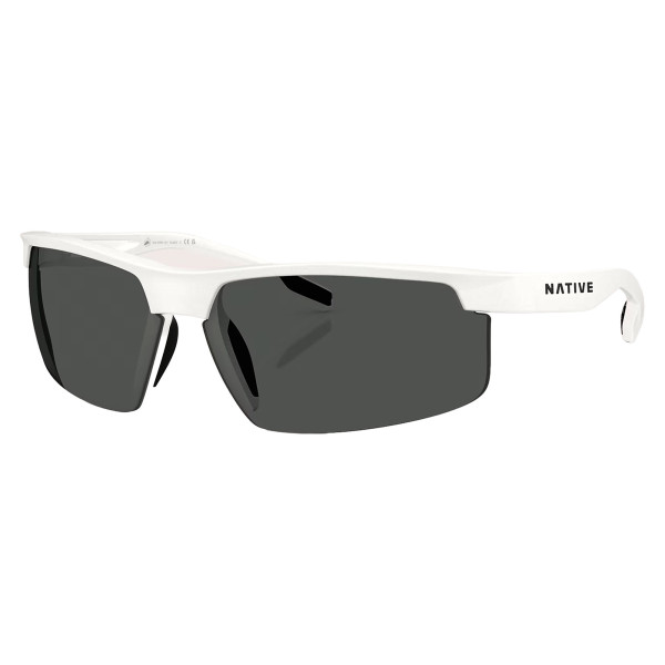 Native Polarized Sunglasses $37 Shipped at Brad's Deals