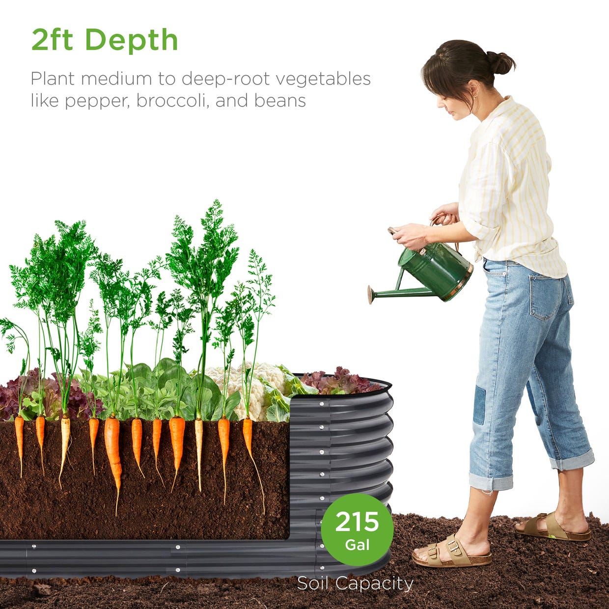 An oval garden bed with a depth of 2 feet, suitable for medium to deep-root vegetables such as carrots, peppers, broccoli, and beans, has a soil capacity of 215 gallons. A person is watering the plants.