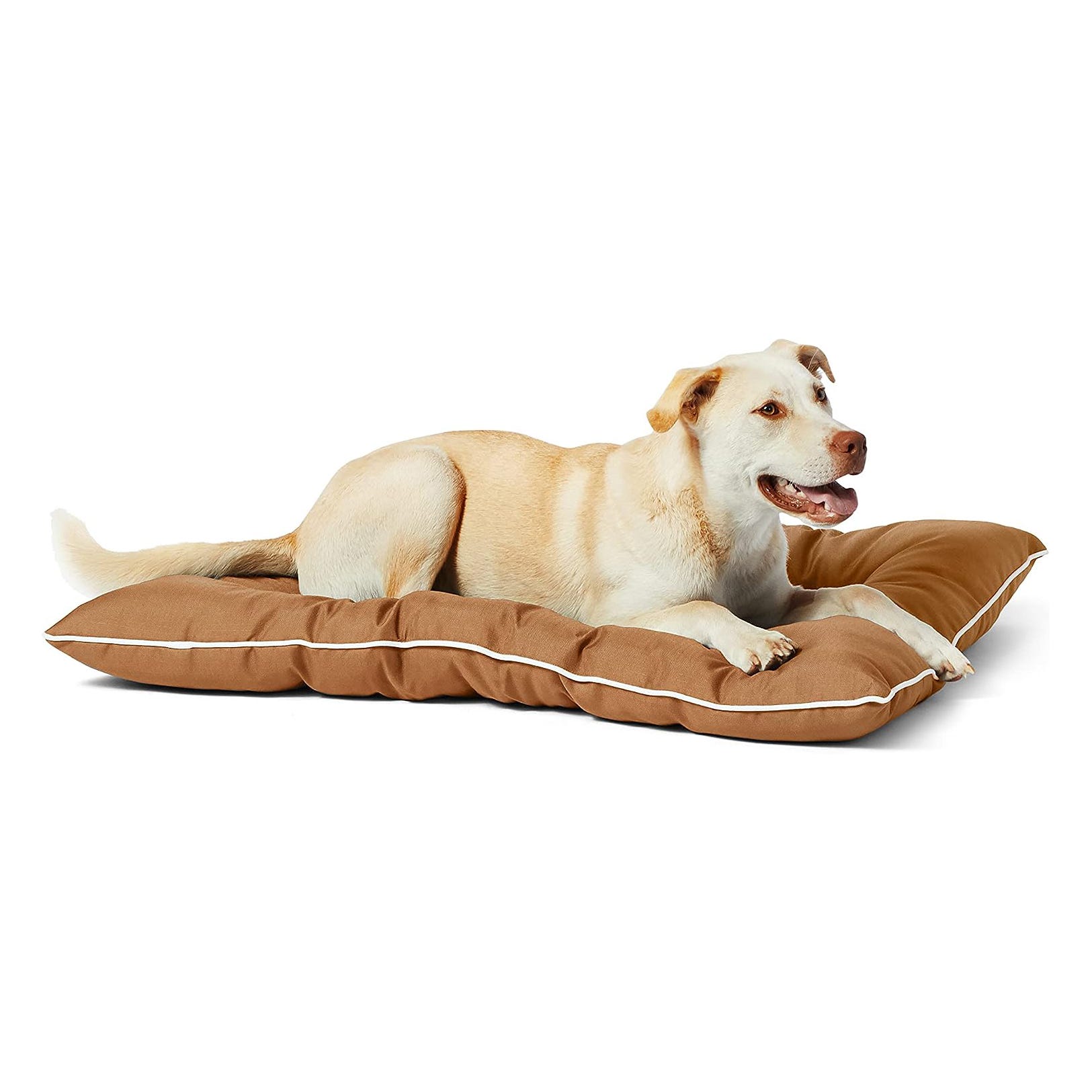 A light brown and white dog is lying on a brown dog bed.