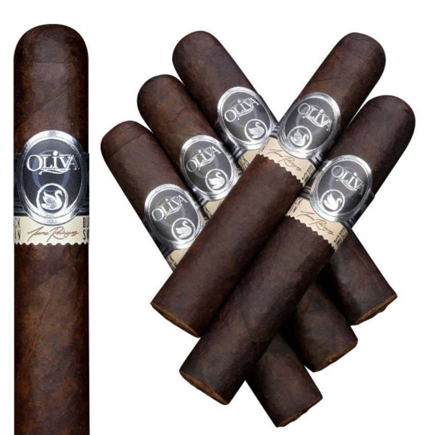 A collection of seven dark brown cigars with silver and cream-colored bands displaying the Oliva logo.