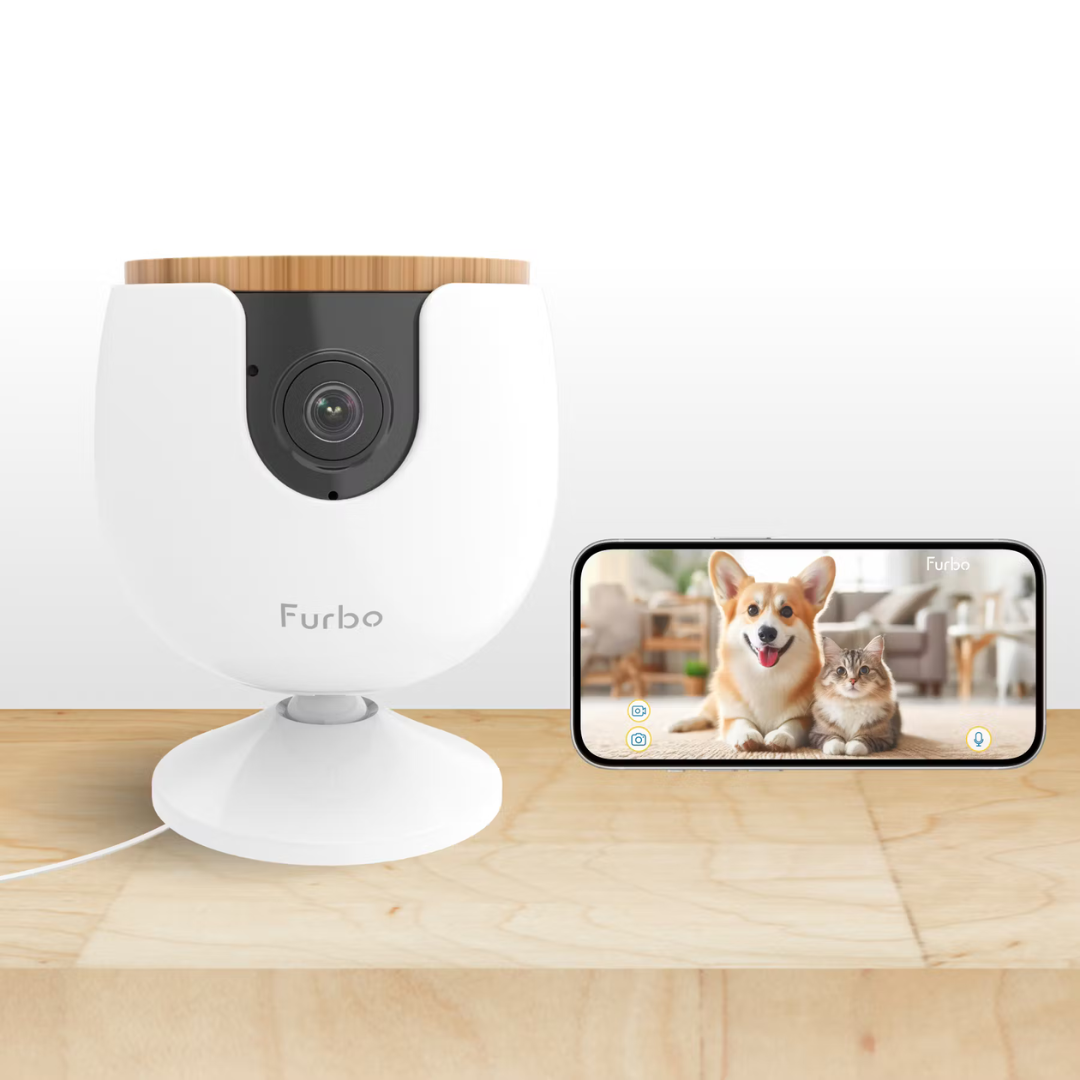 A Furbo pet camera is shown on a table alongside a smartphone displaying a video feed of a corgi and a cat.