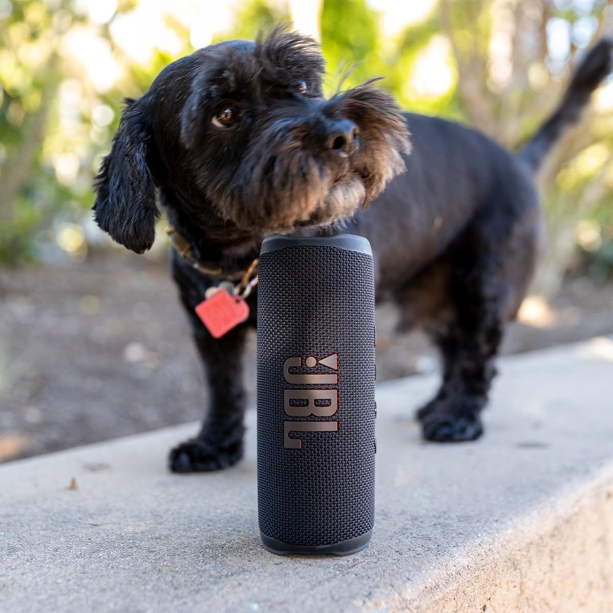 A black dog stands next to a portable wireless speaker on a pavement.