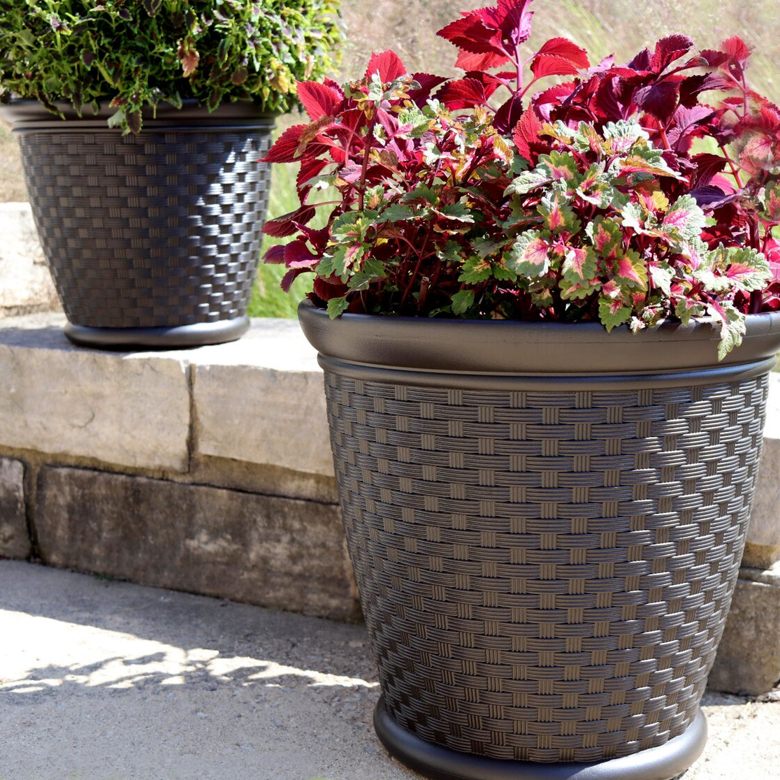 Two wicker-patterned planter pots with assorted plants, placed outdoors.