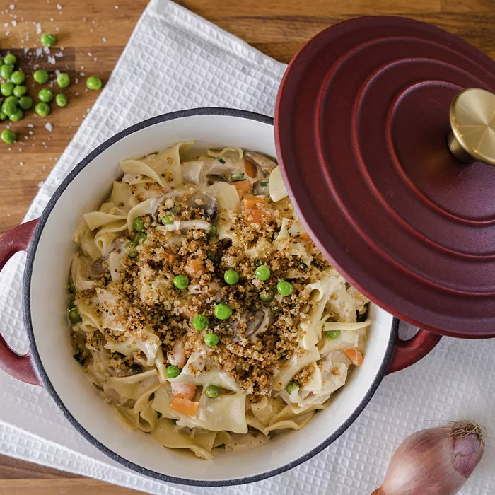 Enamel CastIron Dutch Oven 20 at Brad's Deals