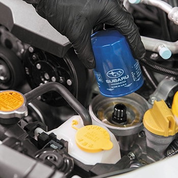 A hand reaching down to replace the oil filter for a Subaru vehicle.
