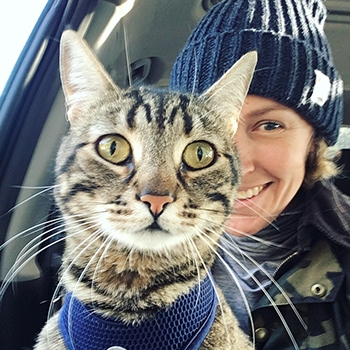 Finn, a tabby cat, sitting on his owner’s lap, wide-eyed.