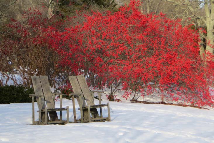 Two chairs in snow