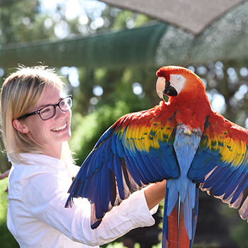 A female with shoulder length blonde hair is holding a scarlet macaw parrot in the sunshine, smiling.