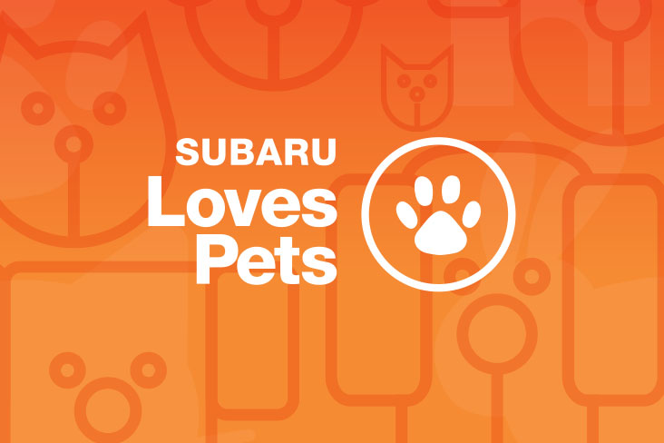 Subaru Loves Pets logo in white lettering on an orange background. An illustration of a paw print in a circle is shown to the right of the words “Subaru Loves Pets.”