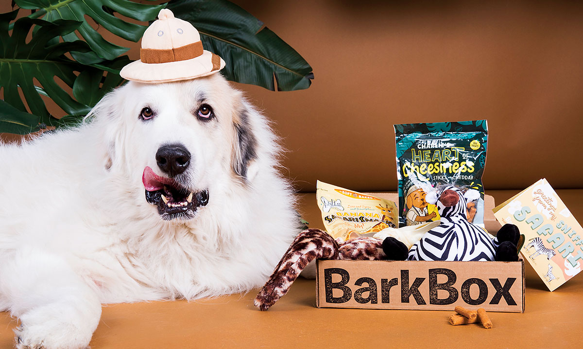 Subaru of America is partnering with BarkBox as part of the annual Subaru Loves Pets month.