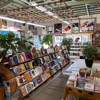Interior view of Marcus Books, which is light-filled and tidy with rows of books and plants sprinkled throughout.