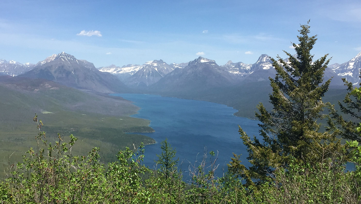 View from fire lookout cabin