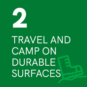 2. Travel and Camp on Durable Surfaces