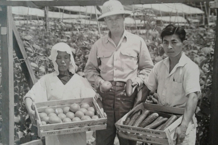 hydroponic farm at Osaka