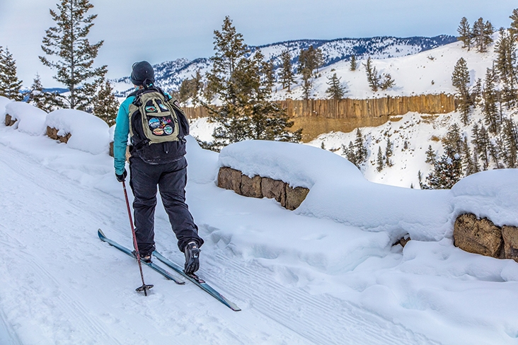 Man cross-country skiing