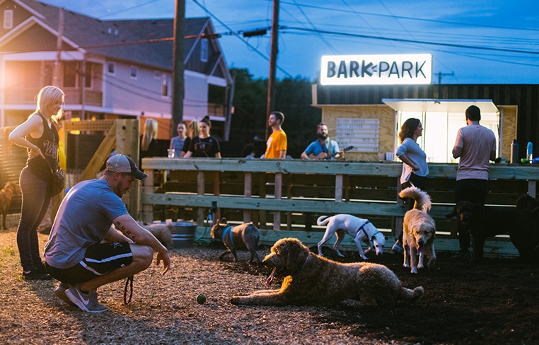 Dogs and their owners playing together in the evening at BarkPark in 2019.