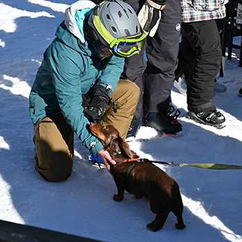 A Subaru WinterFest participant pets a long-haired dachshund in the snow. 