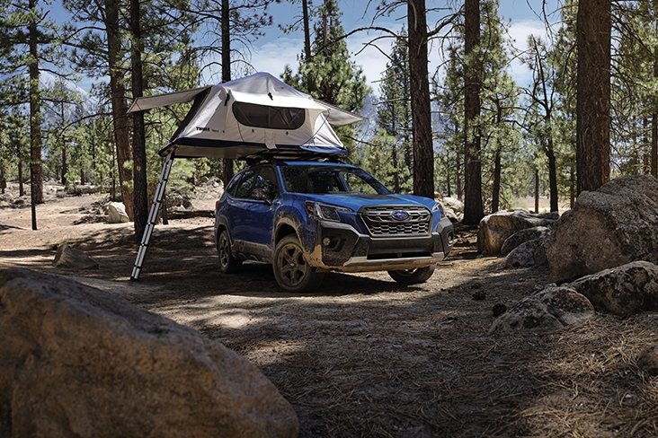 The 2022 Forester Wilderness parked on a dirt campsite with large boulders on each side of the vehicle and tall evergreens behind it. A white Thule rooftop tent is on top of the Forester. A ladder extends from the tent to the dirt on the left and three rainfly coverings on the tent are up, one on each side and one on the front.
