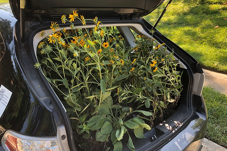Bonnie’s Subaru WRX filled with plants