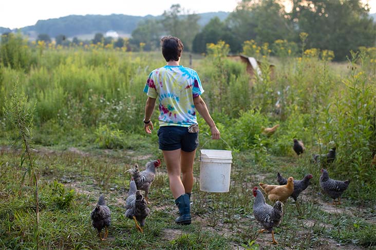 A young female is walking on a gravel road in a prairie with her back to the camera and tall trees in the distance. She’s wearing a tie-dye T-shirt, shorts and midcalf boots and is carrying a large white bucket as several chickens follow close to her.