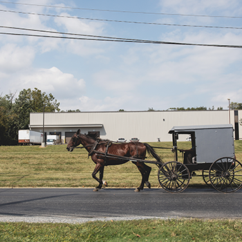 Amish horse and buggy on the road