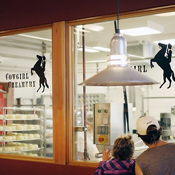 Customers looking through a window as cheese is being made at Cowgirl Creamery.