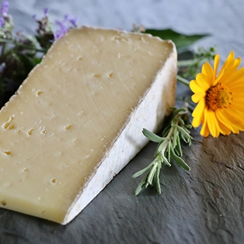 A slice of artisan cheese with a yellow flower next to it.