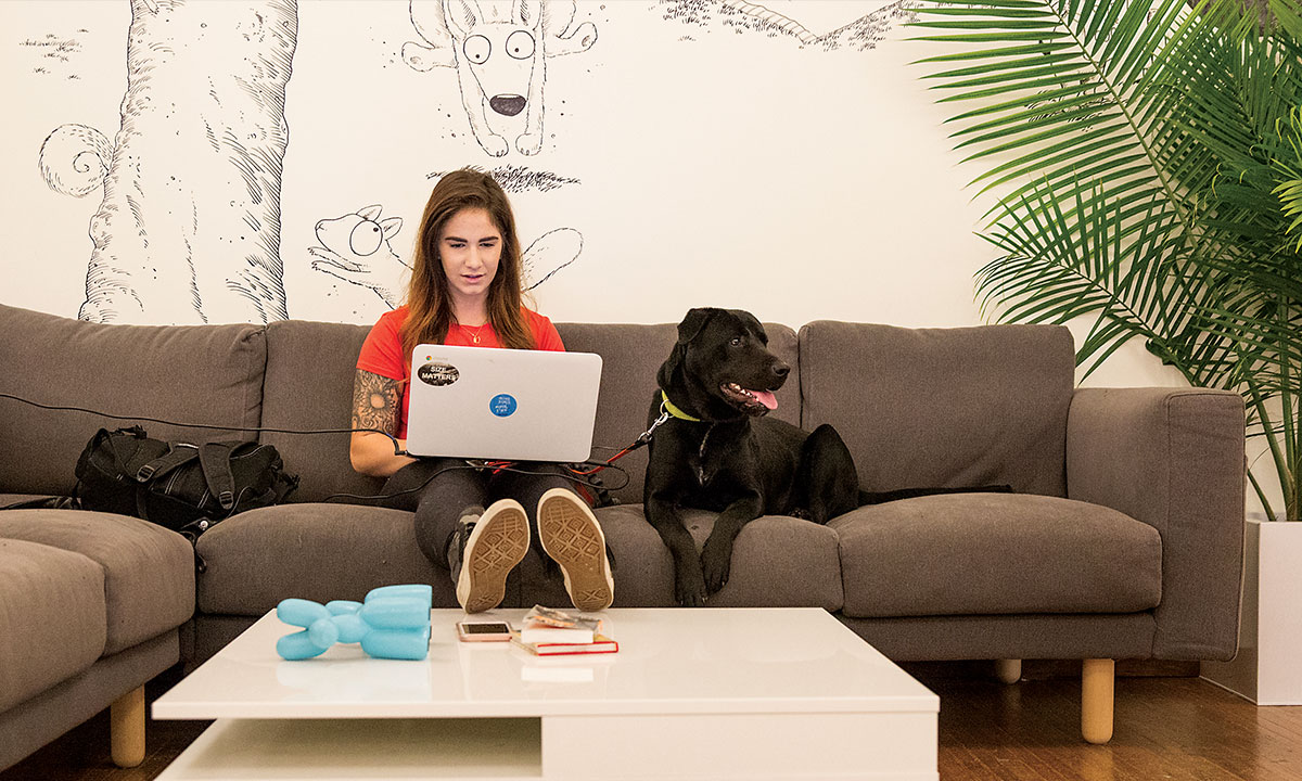 Every day is bring-your-dog-to-work day at Bark & Co.