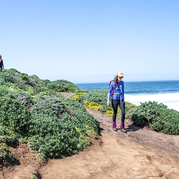A woman in a blue jacket hikes solo along a cliff path with the ocean in the background.