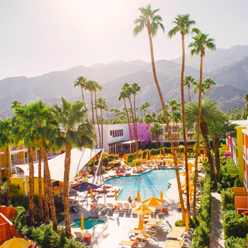 Photo courtesy of The Saguaro Palm Springs. It shows the outdoor pool with the Saguaro Palm Springs poolside buildings surrounding the pool in a U-shape. Tall palm trees are in the foreground and mountains are in the distance. The sun is shining brightly overhead.
