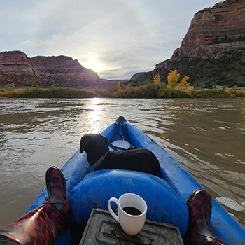 Sadie is enjoying a ride in a kayak on calm waters.