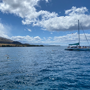 A Blue Aina tour catamaran floats on the water off the Maui, Hawaii, coast.