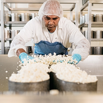 A cheesemaker working with cheeses.