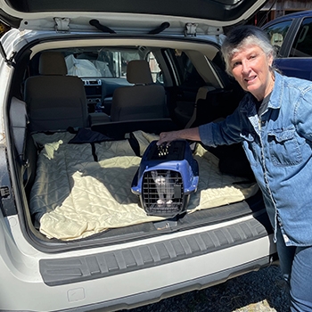 Anne Harris is putting a kitten that's inside a cat carrier into her vehicle.