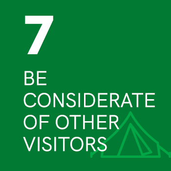 7. Be Considerate of Other Visitors