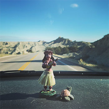 hula girl and turtle on a dashboard