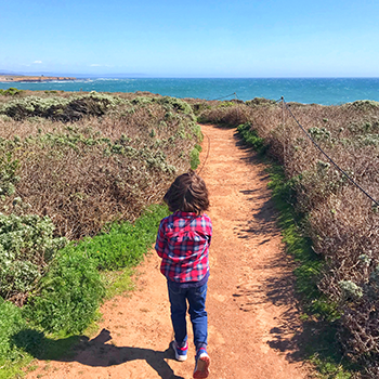 Everest Yasuda, seen from behind, is walking the Boucher Trail in San Simeon, California. The dirt trail is leading toward the ocean, which can be seen in the distance.