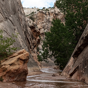 a low stream flowing through canyons