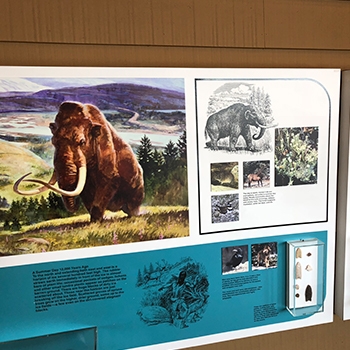 Woolly mammoth and glacier history at the Henry S. Reuss Ice Age Visitor Center