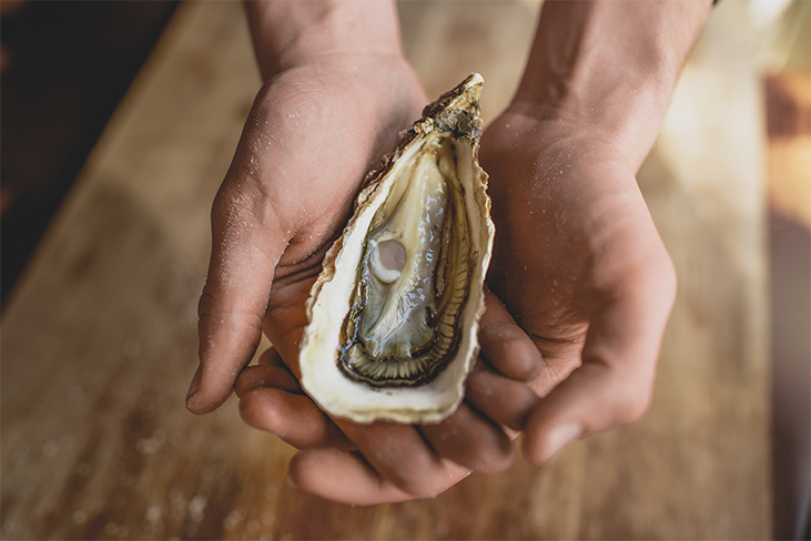 close up image of hands holding oyster