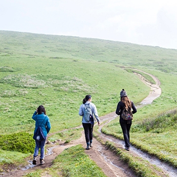 Three women facing away from the camera follow a hiking path up a grassy hill.