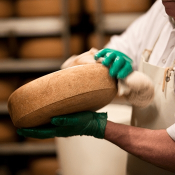 A cheesemaker brushing off a large cheese wheel.