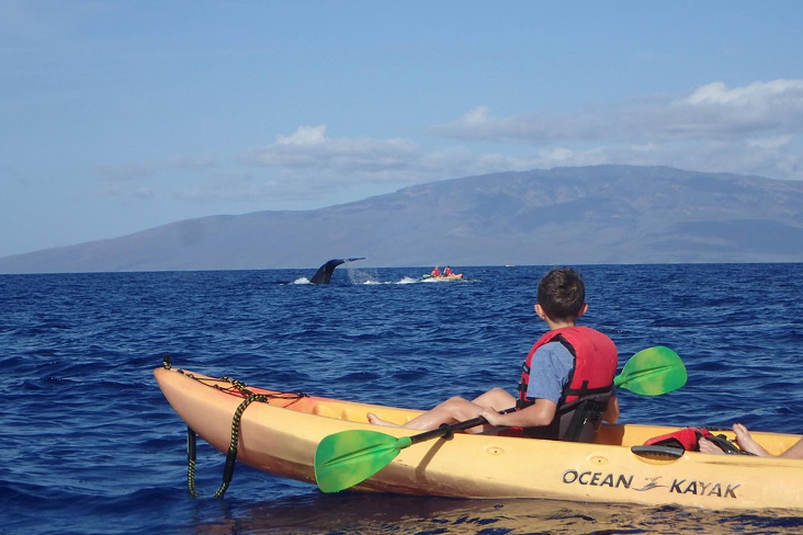 Nikko Broitman is in a kayak on the ocean waters off the coast of Maui, Hawaii, watching a whale lift its flipper in the distance.