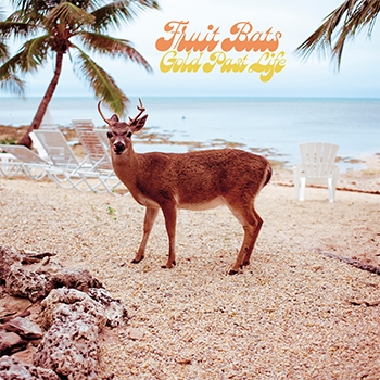 Album cover for Gold Past Life by Fruit Bats 