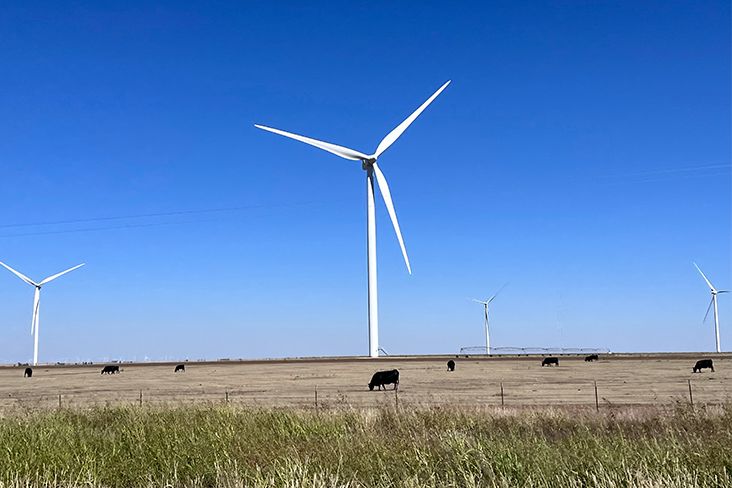 The Oklahoma countryside with cows grazing, blue skies and windmills