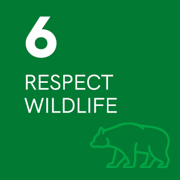6. Respect Wildlife