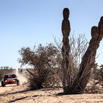 Driving a Subaru buggy in the desert