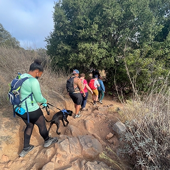 A group of Unlikely Hikers descend a trail, which is rocky and sandy with a leafy green tree off to the left. They are walking through Kumeyaay tribal land in San Diego.