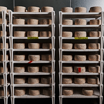 Carts with dozens of round wheels of cheeses.